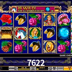 7622 Brasília - VIP Program